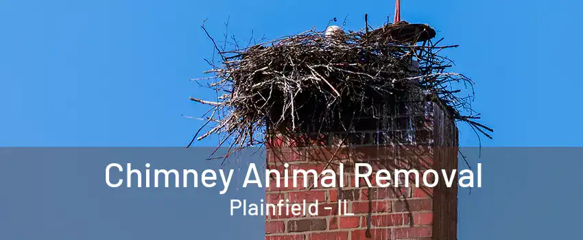 Chimney Animal Removal Plainfield - IL