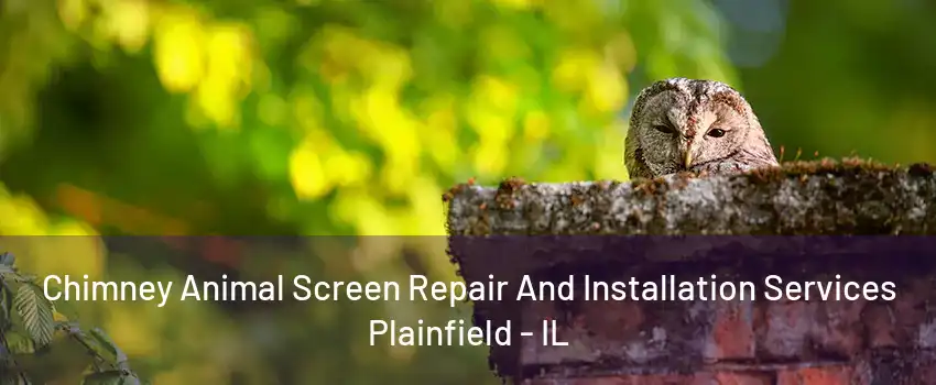 Chimney Animal Screen Repair And Installation Services Plainfield - IL