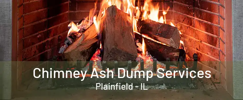 Chimney Ash Dump Services Plainfield - IL