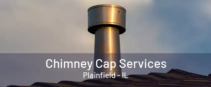 Chimney Cap Services Plainfield - IL