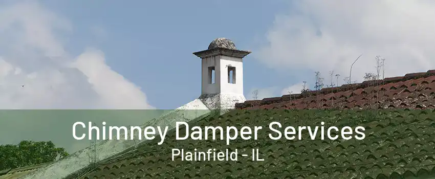 Chimney Damper Services Plainfield - IL