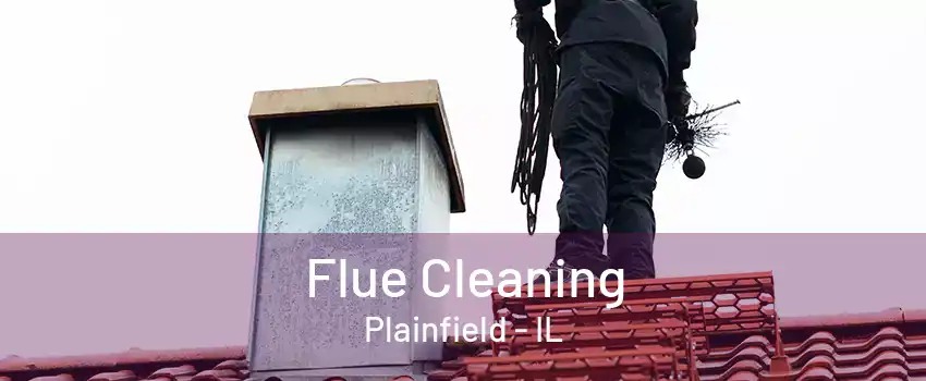 Flue Cleaning Plainfield - IL