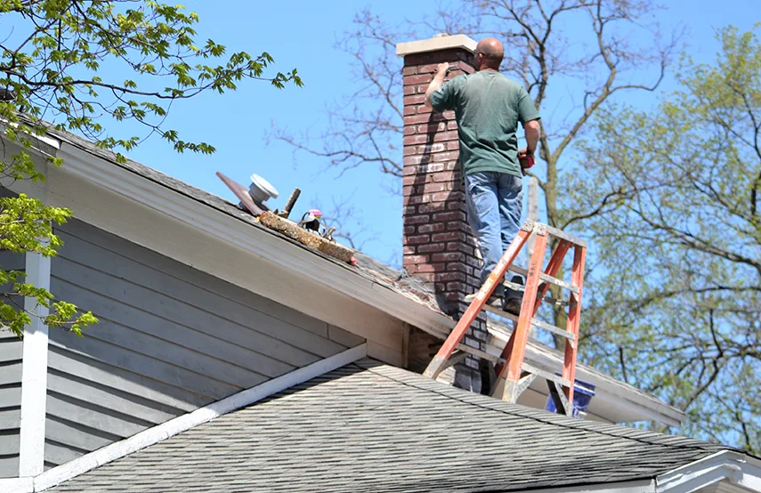 Chimney & Fireplace Inspections Services in Plainfield, IL