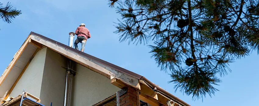 Birds Removal Contractors from Chimney in Plainfield, IL