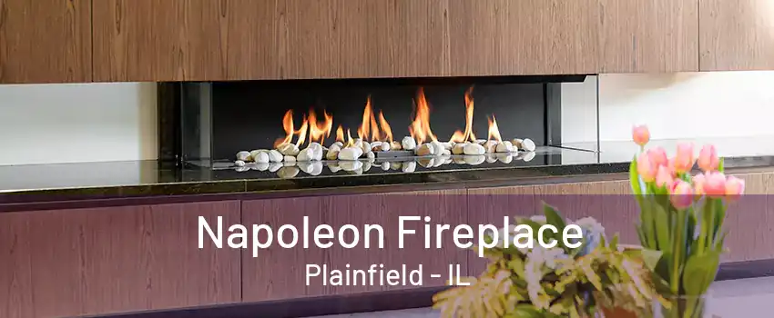 Napoleon Fireplace Plainfield - IL